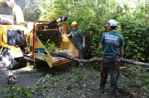 tree services Horseshoe Bend